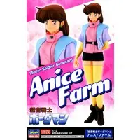 1/12 Scale Model Kit - Sonic Soldier Borgman / Anice Farm