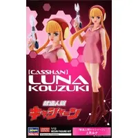 1/12 Scale Model Kit - Neo-Human Casshern