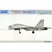 1/48 Scale Model Kit - Fighter aircraft model kits