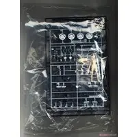 1/24 Scale Model Kit - Tamago Girls (Egg Girls)