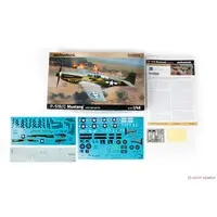 1/48 Scale Model Kit - Fighter aircraft model kits / North American P-51 Mustang