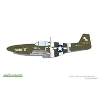 1/48 Scale Model Kit - Fighter aircraft model kits / North American P-51 Mustang