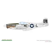 1/48 Scale Model Kit - Fighter aircraft model kits / North American P-51 Mustang