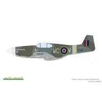 1/48 Scale Model Kit - Fighter aircraft model kits / North American P-51 Mustang