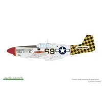 1/48 Scale Model Kit - Fighter aircraft model kits / North American P-51 Mustang