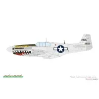 1/48 Scale Model Kit - Fighter aircraft model kits / North American P-51 Mustang