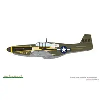 1/48 Scale Model Kit - Fighter aircraft model kits / North American P-51 Mustang