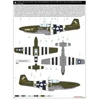 1/48 Scale Model Kit - Fighter aircraft model kits / North American P-51 Mustang