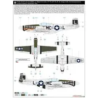 1/48 Scale Model Kit - Fighter aircraft model kits / North American P-51 Mustang