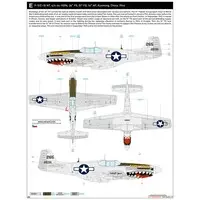 1/48 Scale Model Kit - Fighter aircraft model kits / North American P-51 Mustang