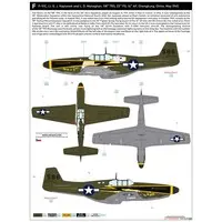 1/48 Scale Model Kit - Fighter aircraft model kits / North American P-51 Mustang