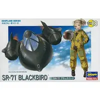 Plastic Model Kit - Egg Plane / SR-71 Blackbird