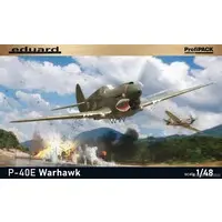 1/48 Scale Model Kit - Fighter aircraft model kits / Curtiss P-40 Warhawk