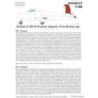 1/48 Scale Model Kit - Aircraft / Gloster E.28/39