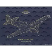 1/48 Scale Model Kit - Fighter aircraft model kits / Curtiss P-40 Warhawk