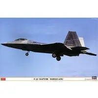 1/48 Scale Model Kit - Fighter aircraft model kits / F-22 Raptor