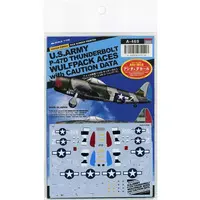1/144 Scale Model Kit - Fighter aircraft model kits / P-47 Thunderbolt