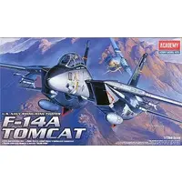 1/72 Scale Model Kit - Fighter aircraft model kits / F-14