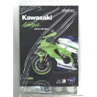 1/9 Scale Model Kit - Kawasaki