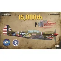 1/48 Scale Model Kit - Fighter aircraft model kits / Curtiss P-40 Warhawk