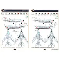 1/72 Scale Model Kit - Fighter aircraft model kits / Mikoyan-Gurevich MiG-19