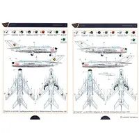 1/72 Scale Model Kit - Fighter aircraft model kits / Mikoyan-Gurevich MiG-19