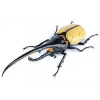 Plastic Model Kit - Jiyuu Kenkyuu Series