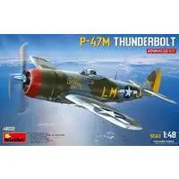 1/48 Scale Model Kit - Fighter aircraft model kits / P-47 Thunderbolt
