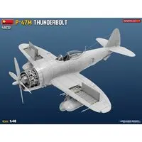 1/48 Scale Model Kit - Fighter aircraft model kits / P-47 Thunderbolt