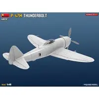 1/48 Scale Model Kit - Fighter aircraft model kits / P-47 Thunderbolt