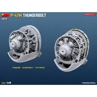 1/48 Scale Model Kit - Fighter aircraft model kits / P-47 Thunderbolt