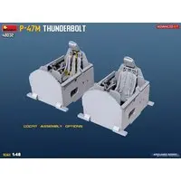 1/48 Scale Model Kit - Fighter aircraft model kits / P-47 Thunderbolt