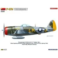 1/48 Scale Model Kit - Fighter aircraft model kits / P-47 Thunderbolt