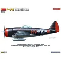 1/48 Scale Model Kit - Fighter aircraft model kits / P-47 Thunderbolt