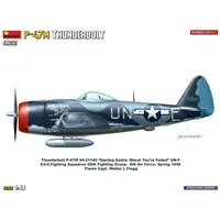 1/48 Scale Model Kit - Fighter aircraft model kits / P-47 Thunderbolt
