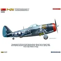 1/48 Scale Model Kit - Fighter aircraft model kits / P-47 Thunderbolt