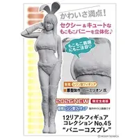 1/12 Scale Model Kit - Real Figure Collection