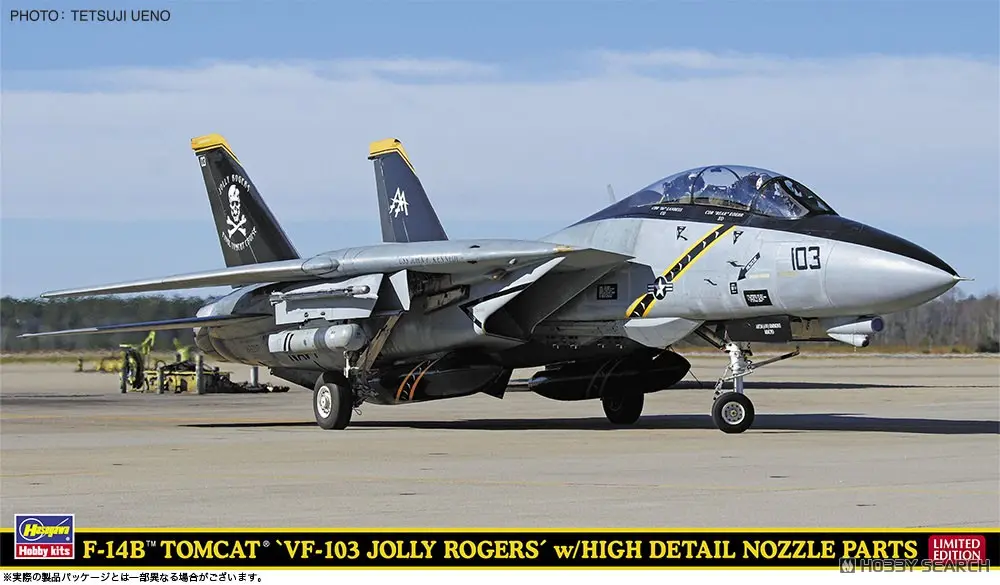 1/72 Scale Model Kit - Fighter aircraft model kits / F-14