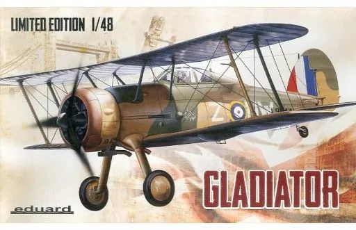 1/48 Scale Model Kit - Fighter aircraft model kits / Gloster Gladiator