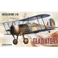 1/48 Scale Model Kit - Fighter aircraft model kits / Gloster Gladiator