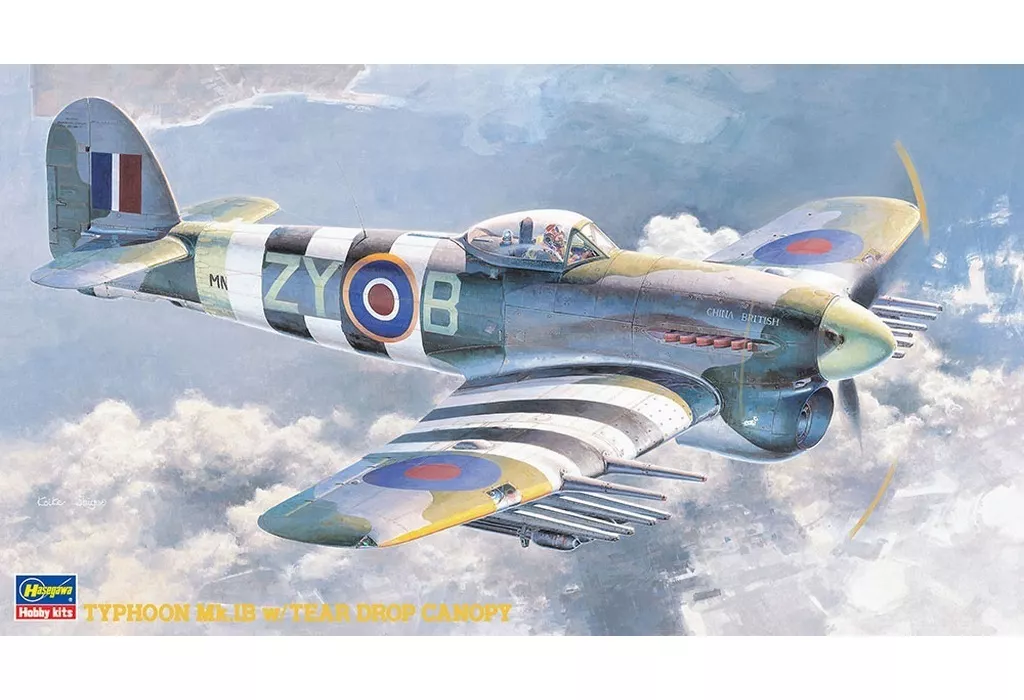 1/48 Scale Model Kit - Fighter aircraft model kits / Hawker Typhoon