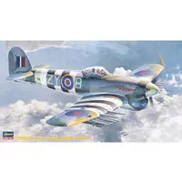 1/48 Scale Model Kit - Fighter aircraft model kits / Hawker Typhoon