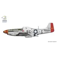1/72 Scale Model Kit - Fighter aircraft model kits / North American P-51 Mustang