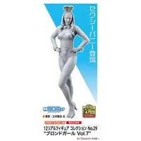 1/12 Scale Model Kit - Real Figure Collection
