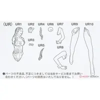 1/12 Scale Model Kit - Real Figure Collection