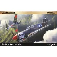 1/48 Scale Model Kit - Fighter aircraft model kits / Curtiss P-40 Warhawk