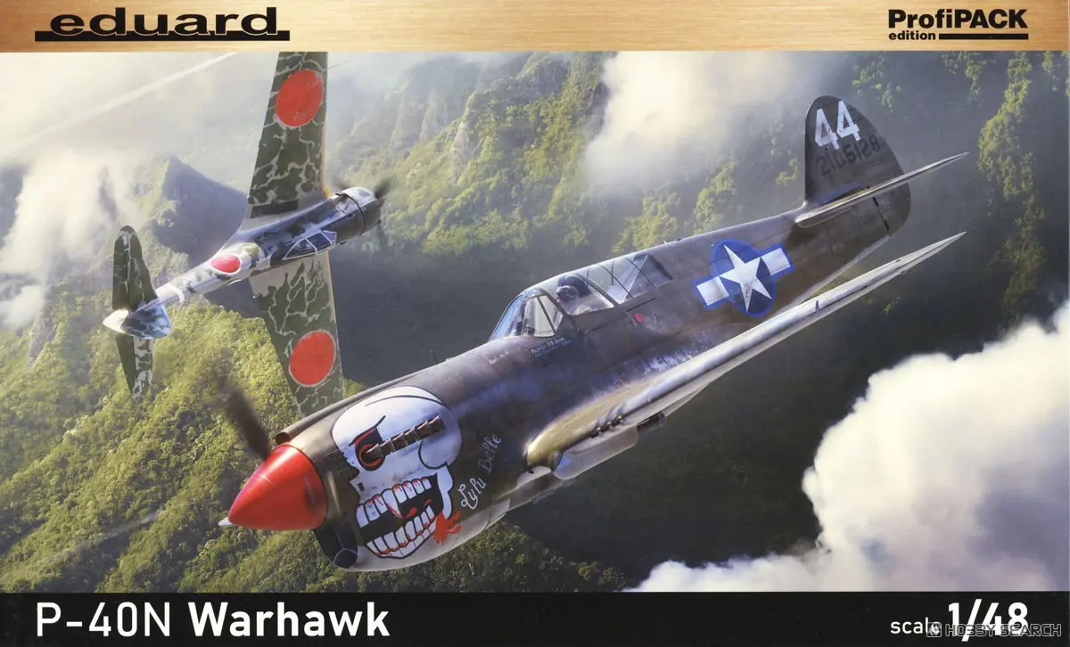 1/48 Scale Model Kit - Fighter aircraft model kits / Curtiss P-40 Warhawk