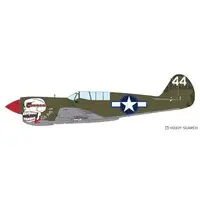 1/48 Scale Model Kit - Fighter aircraft model kits / Curtiss P-40 Warhawk