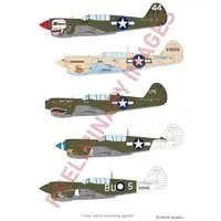 1/48 Scale Model Kit - Fighter aircraft model kits / Curtiss P-40 Warhawk