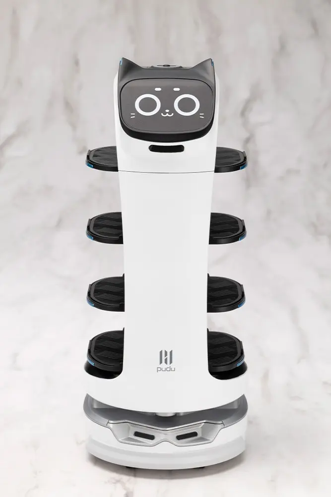 1/6 Scale Model Kit - BellaBot